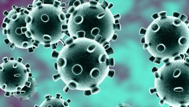 Photo of Küresel Salgın Düzeni