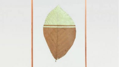 Photo of KUTSALIN GEÇİRDİĞİ BAŞKALAŞIMLAR / DARYUSH SHAYEGAN (MELEZ BİLİNÇ)