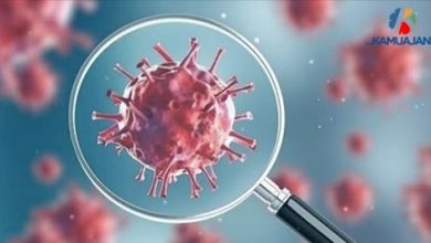 Photo of Din psikolojisi ve din sosyolojisi uzmanları kimdir? Koronavirüsle mücadeleye nasıl bir katkıları olacak?