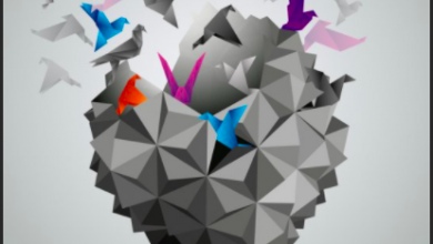 Photo of Toplumsal Yapı ve Değişme Kuramları- Alev Erkilet