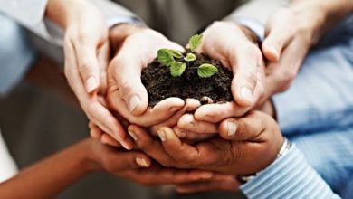 Photo of Sayın Prof. Dr. Özcan Güngör’ün kaleminden “Asrın felaketi: Gönül yasımız”