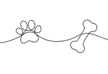 Photo of İSLAM HUKUKUNDA EVCİL HAYVANLARA YAKLAŞIMIN SOSYOLOJİK BOYUTLARI